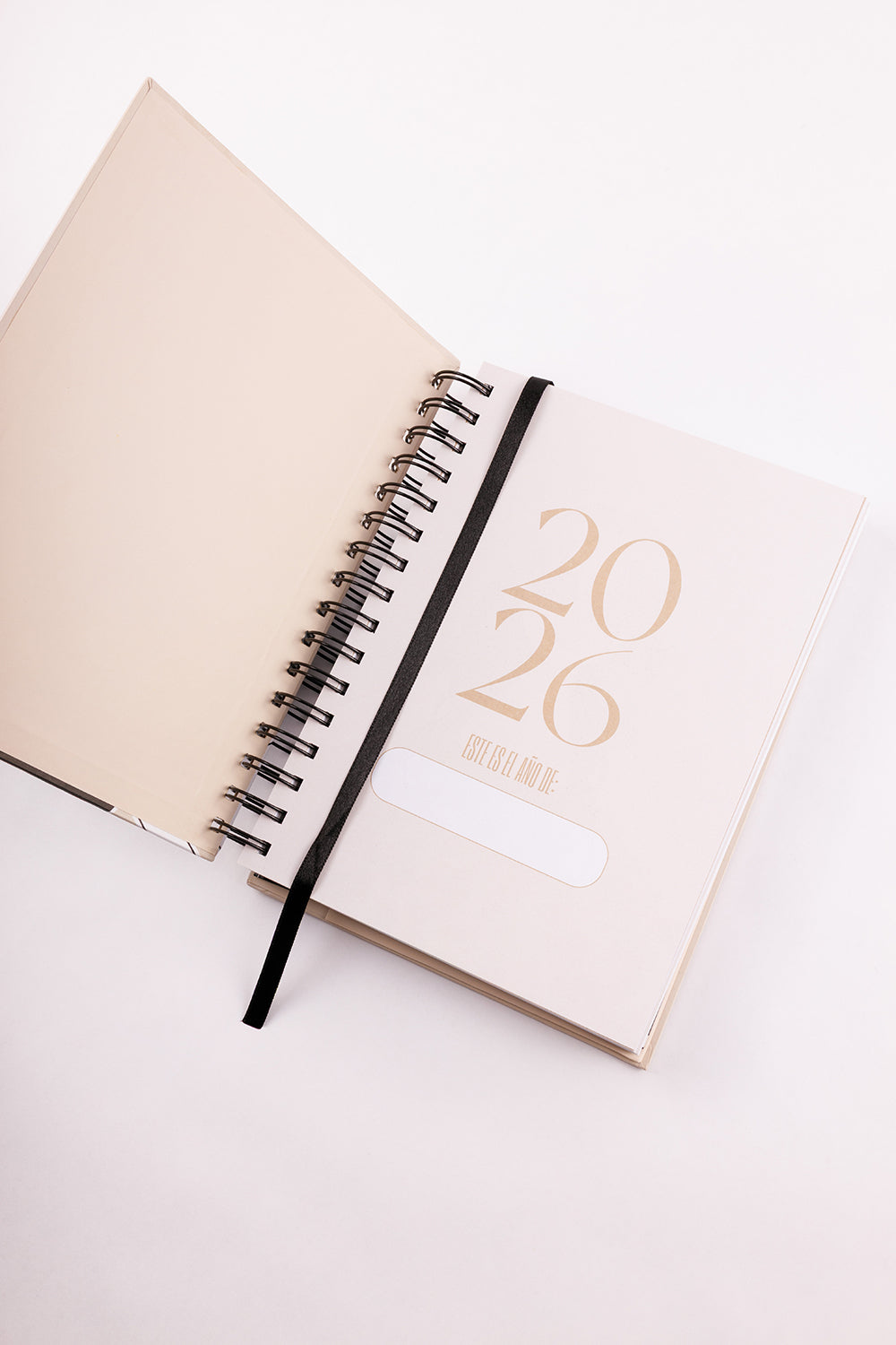 AGENDA NUDE
