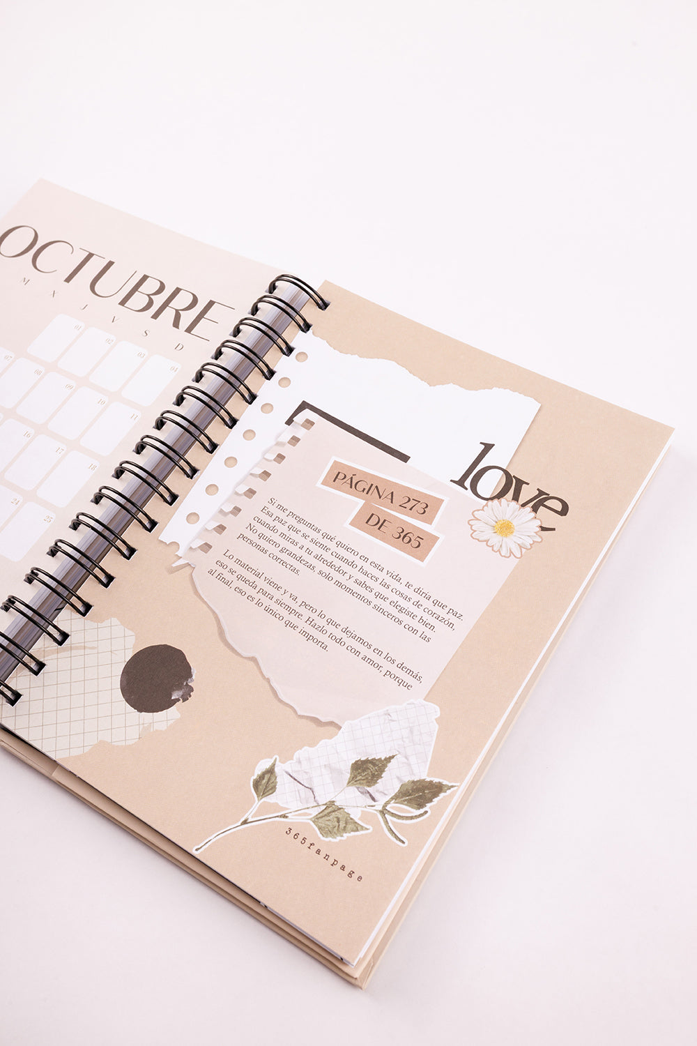 AGENDA NUDE
